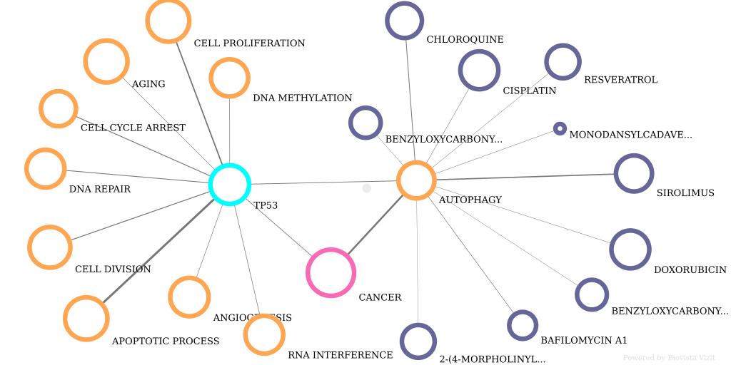 p53 and Autophagy Drugs