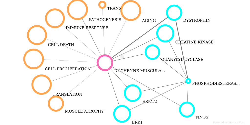 Duchenne and PDE5