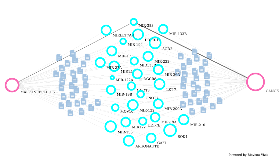 Cancer and Male Infertility miRNAs