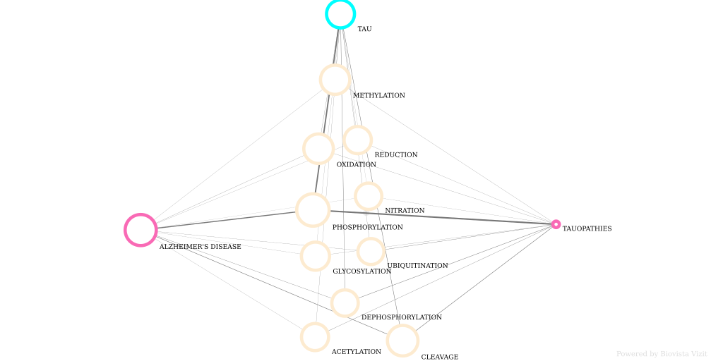 Tau protein related PTMs in Alzheimers