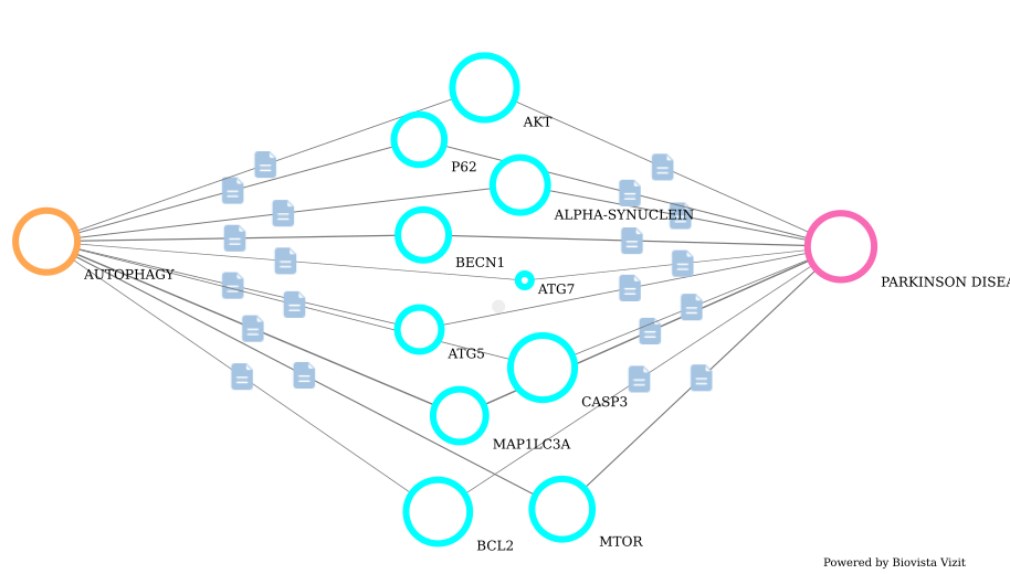 Parkinson disease and Autophagy