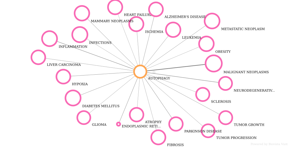 Diseases related to Autophagy