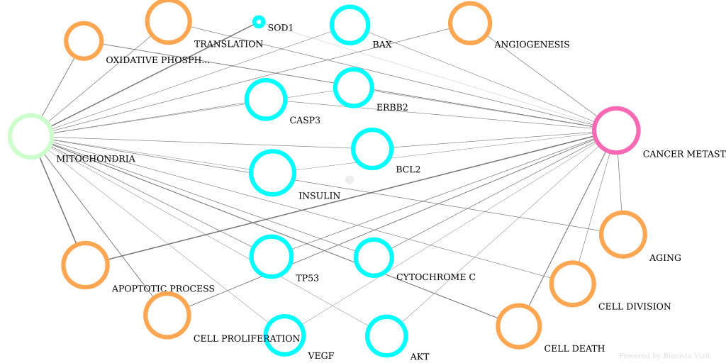 Mitochondrial role in Cancer Metastasis