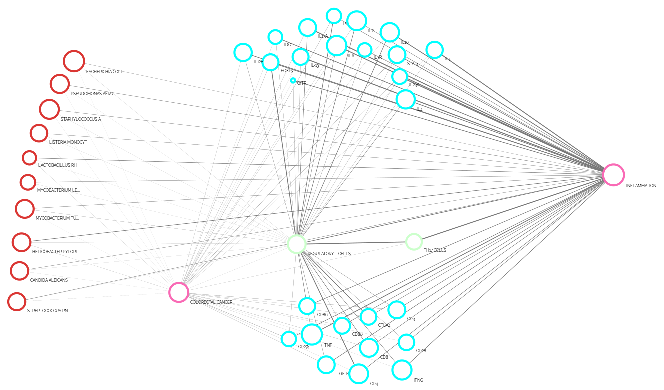 Vizit usage example series: Cancer immunotherapy