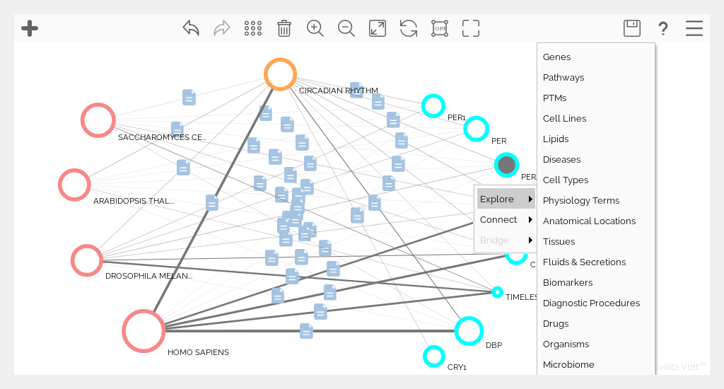 Vizit Graph categories