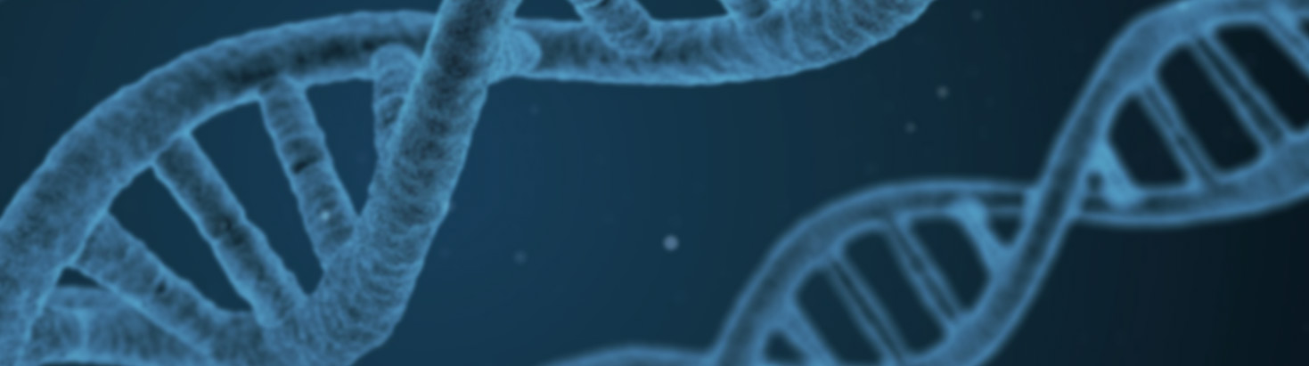 Vizit biomedical literature search