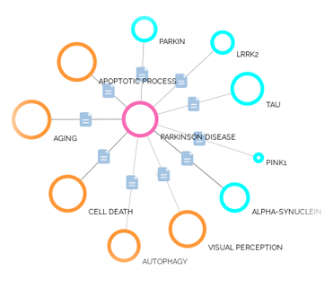 Vizit correlation graphs