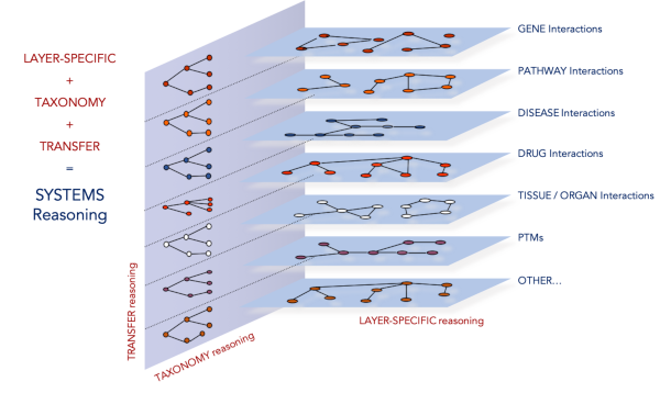 complex systems